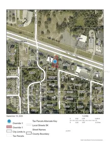 LEESBURG FL Property