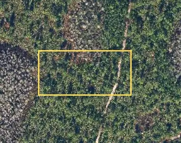 CHRISTMAS FL Property