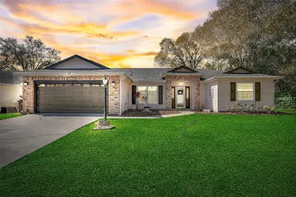 LEESBURG FL Home