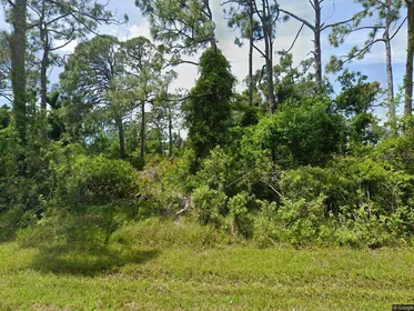 PORT CHARLOTTE FL Property