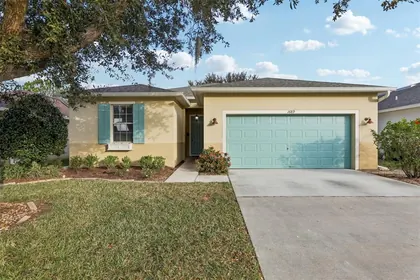 MOUNT DORA FL Home