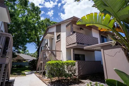 SAFETY HARBOR FL Home