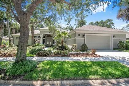 PALM COAST FL Home