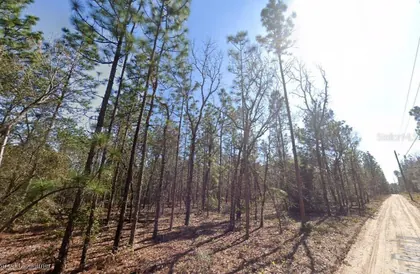MELROSE FL Property