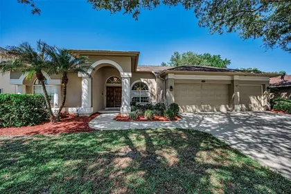 OLDSMAR FL Home