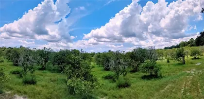 DE LEON SPRINGS FL Property