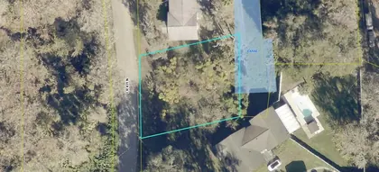 LAKE PANASOFFKEE FL Property