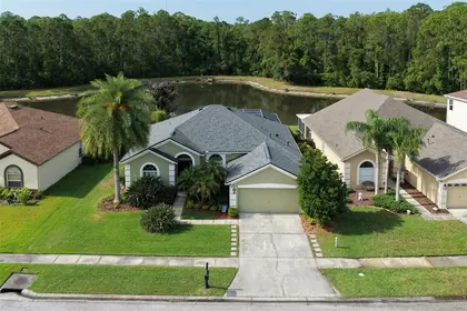 TAMPA FL Home