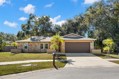 SAFETY HARBOR FL Home