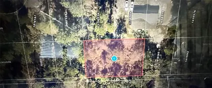 MOUNT DORA FL Property