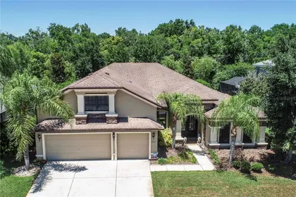 ODESSA FL Home