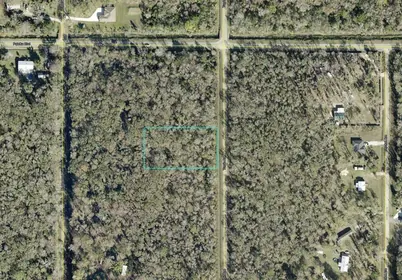 HASTINGS FL Property