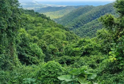 GUAYAMA PR Property