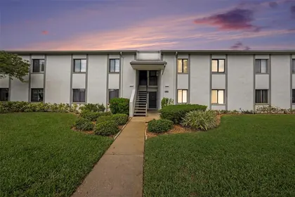 OLDSMAR FL Home