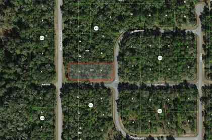 CITRUS SPRINGS FL Property
