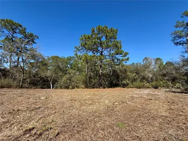 EUSTIS FL Property
