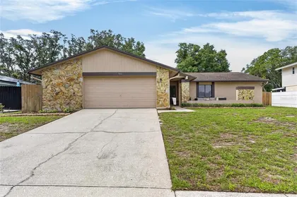 BRANDON FL Home
