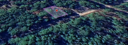 GEORGETOWN FL Property