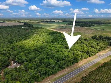 BRANFORD FL Property