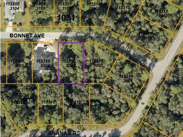 NORTH PORT FL Property