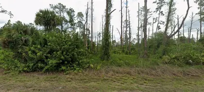 LEHIGH ACRES FL Property