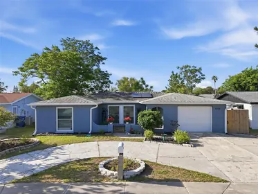 HOLIDAY FL Home