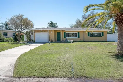 BELLEAIR BLUFFS FL Home