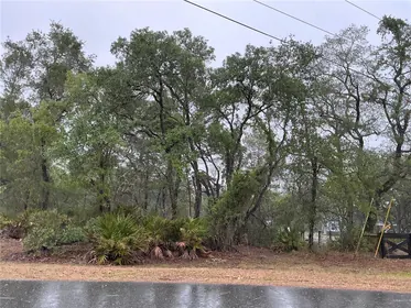WEEKI WACHEE FL Property