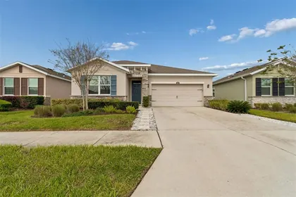 WESLEY CHAPEL FL Home