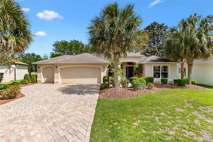 THE VILLAGES FL Home