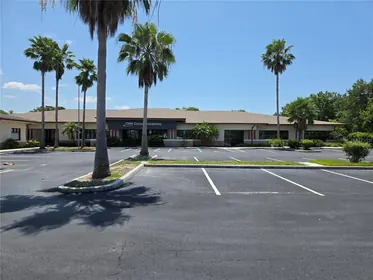 OLDSMAR FL Property