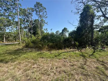 PORT CHARLOTTE FL Property
