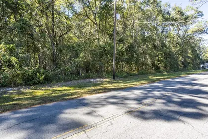 LAKE BUTLER FL Property