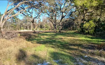 CHRISTMAS FL Property