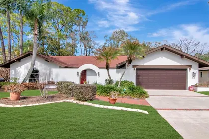 PALM HARBOR FL Home