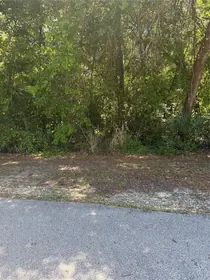 HERNANDO FL Property