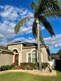 OVIEDO FL Home
