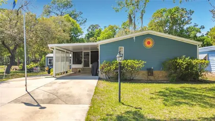 MOUNT DORA FL Home