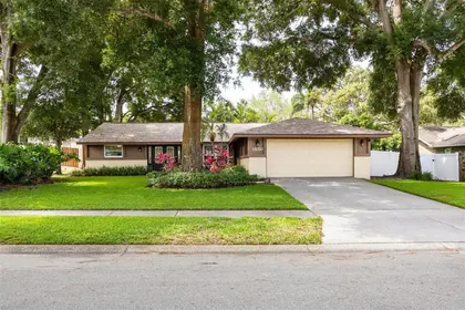 PALM HARBOR FL Home