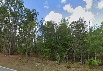 LECANTO FL Property