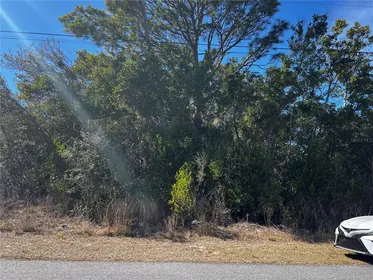 SPRING HILL FL Property