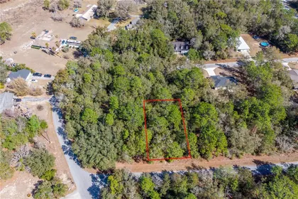 WILLISTON FL Property
