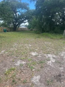 MOUNT DORA FL Property