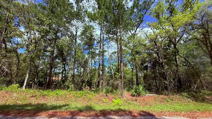 OCKLAWAHA FL Property