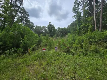 OCKLAWAHA FL Property
