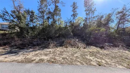 SPRING HILL FL Property