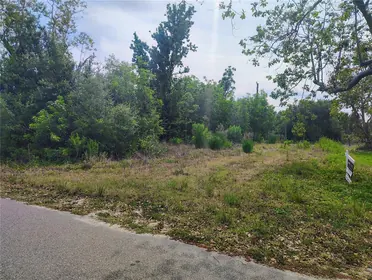 PUNTA GORDA FL Property