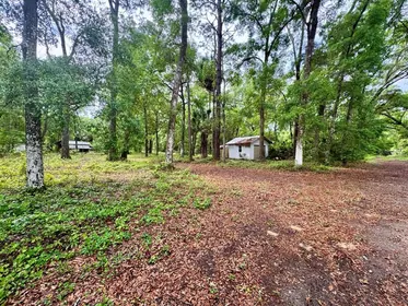 SALT SPRINGS FL Property