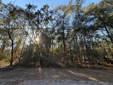 FORT MC COY FL Property