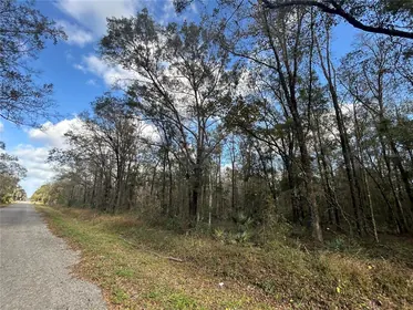 HASTINGS FL Property
